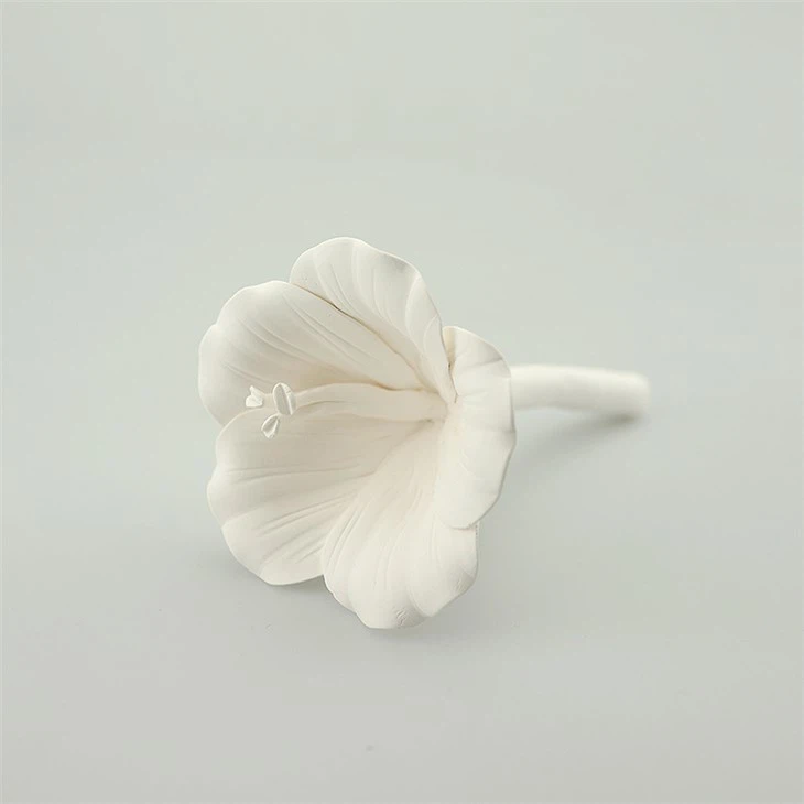 Natural Plaster Flower Fragrance Diffuser